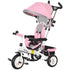 6 in 1 Kids Trike Push Bike w/ Push Handle, Canopy, 5-point Safety Belt, Storage, Footrest, Brake, for 1-5 Years, Pink