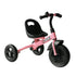 Kids Trike Toddler Tricycle Children Ride on 3 Wheels Bike For 1.5 - 4 Years Pink