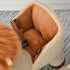 Kids Lion-themed Rocking Horse, with Roaring Sound Button, Seatbelt, Brown