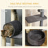 121cm Cat Tree Tower for Indoor Cats Kitten Activity Centre Scratching Post with Bed Tunnel Perch Interactive Ball Toy Grey