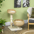 72cm Cat Tree Kitten Tower, with Sisal Scratching Post, Two Beds, Toy Ball