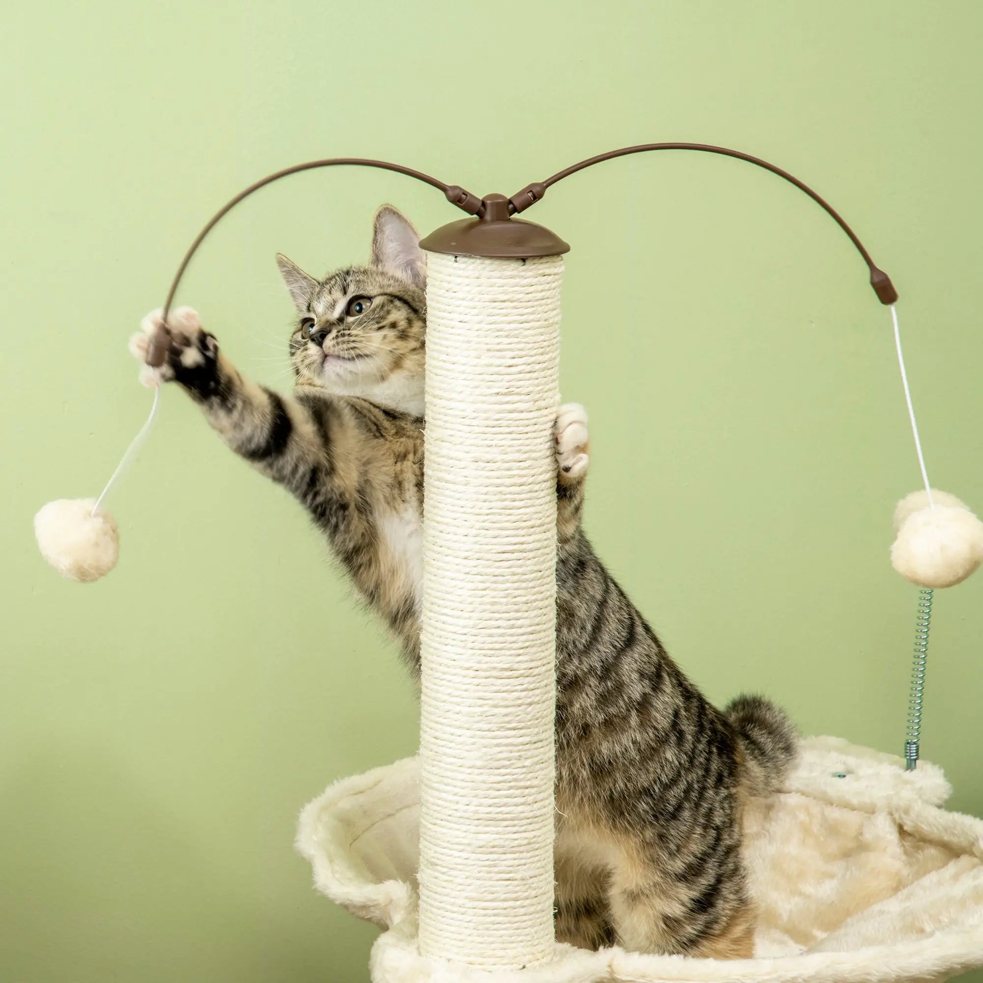 Cat Tree, with Scratching Posts, Hammock, Toy Ball - Beige