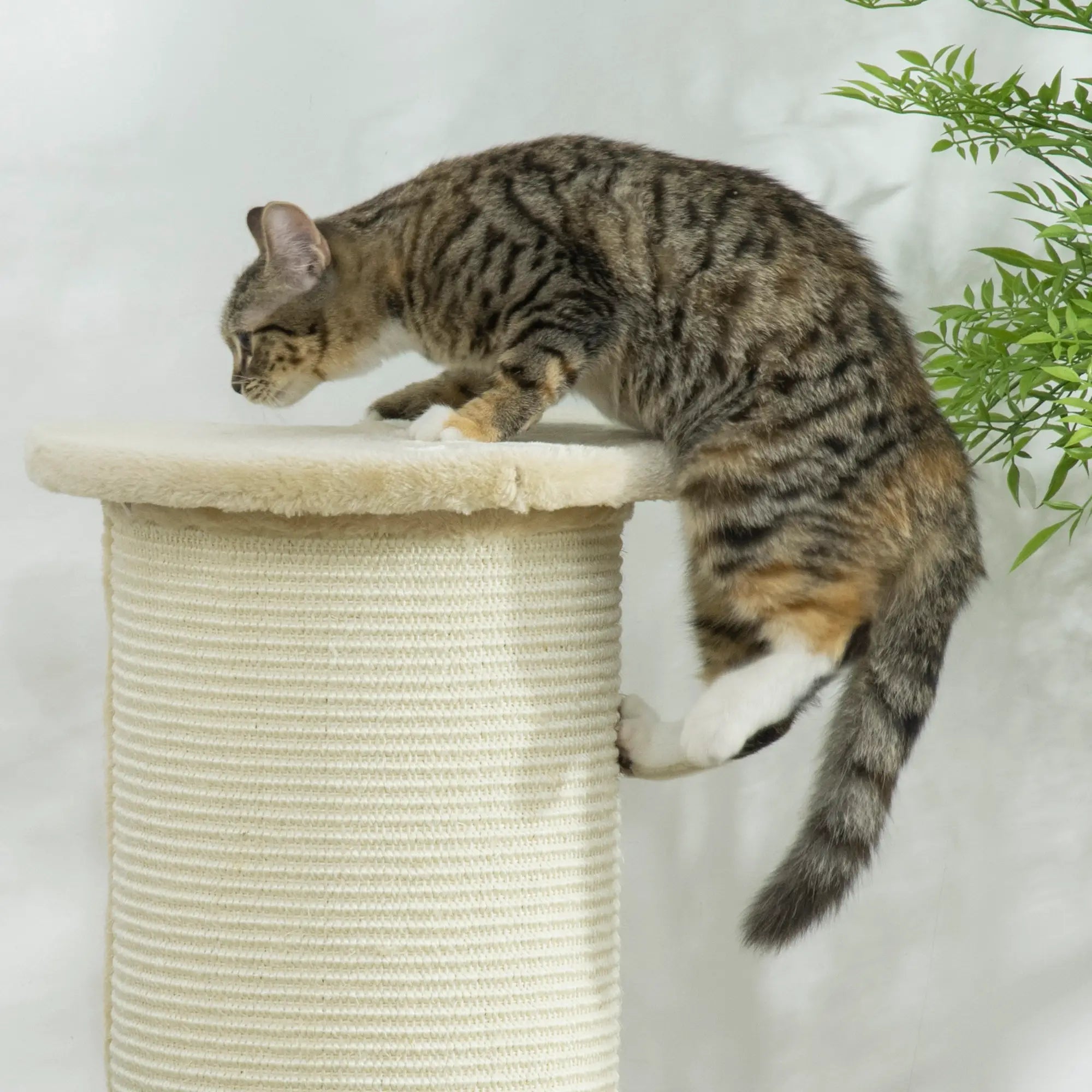 85cm Tall Cat Scratching Post, with Sisal Rope, Soft Plush, Anti Tip - Beige