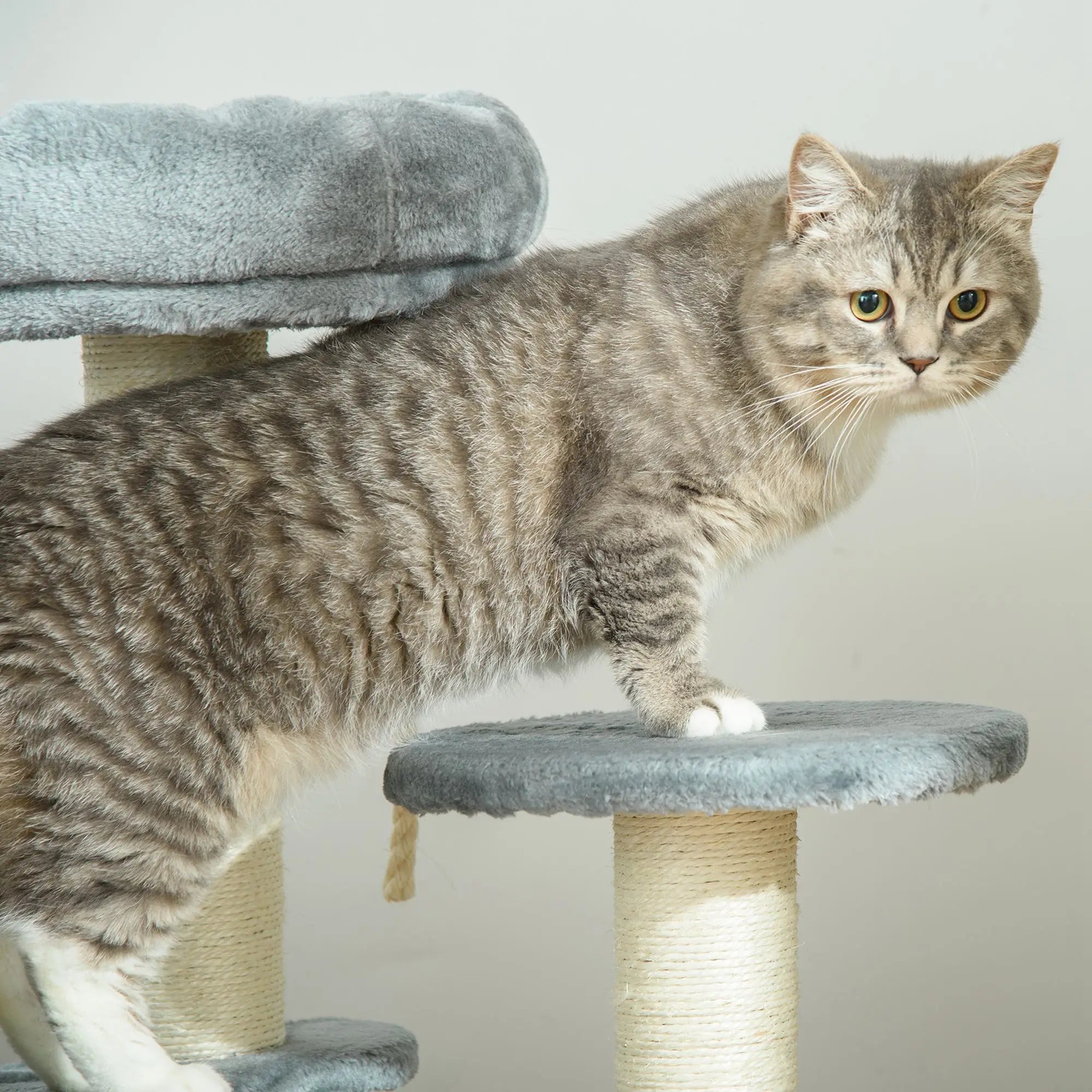 65cm Cat Tree, Cat Tower for Kittens, Small Cat Condo with Sisal Scratching Posts, Hanging Rope, Perches - Grey