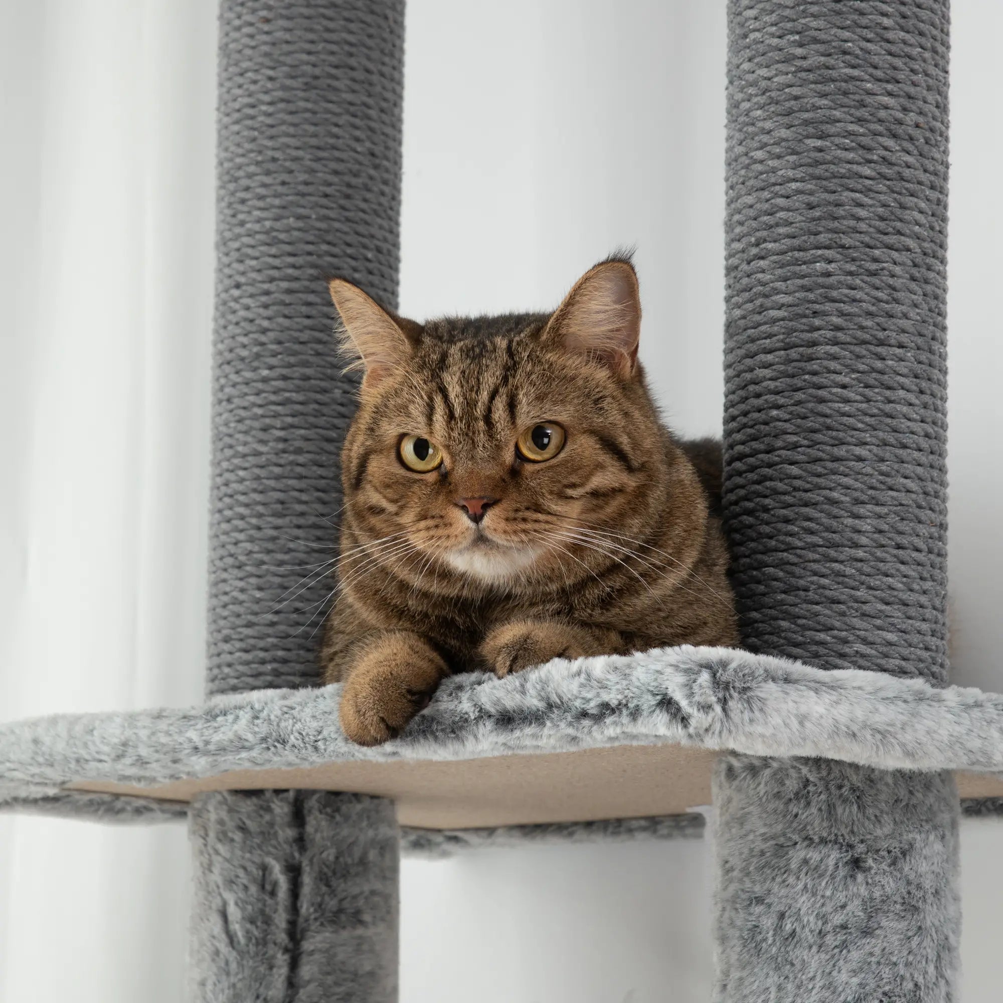 225-255cm Floor to Ceiling Cat Tree, Large Cat Tower w/ Cat Scratching Posts, Ramp, Cat House