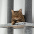 225-255cm Floor to Ceiling Cat Tree, Large Cat Tower w/ Cat Scratching Posts, Ramp, Cat House
