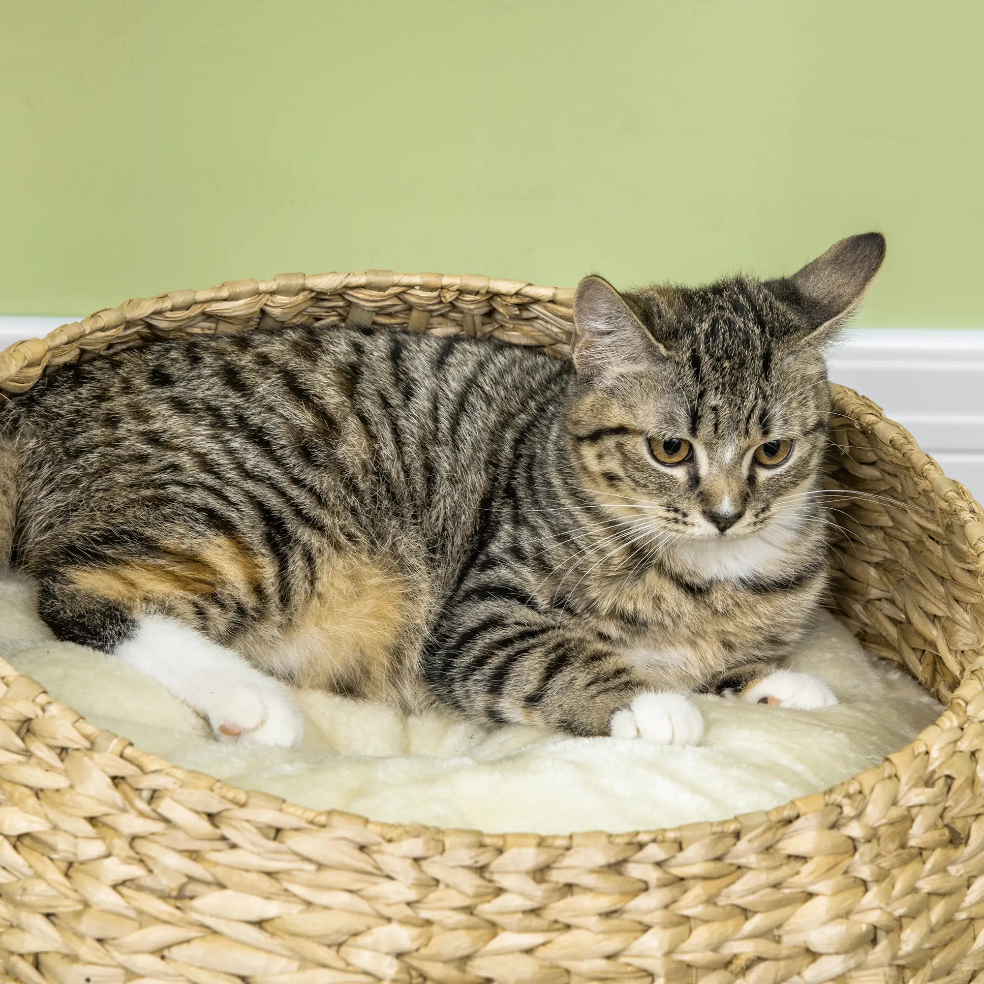 72cm Cat Tree Kitten Tower, with Sisal Scratching Post, Two Beds, Toy Ball