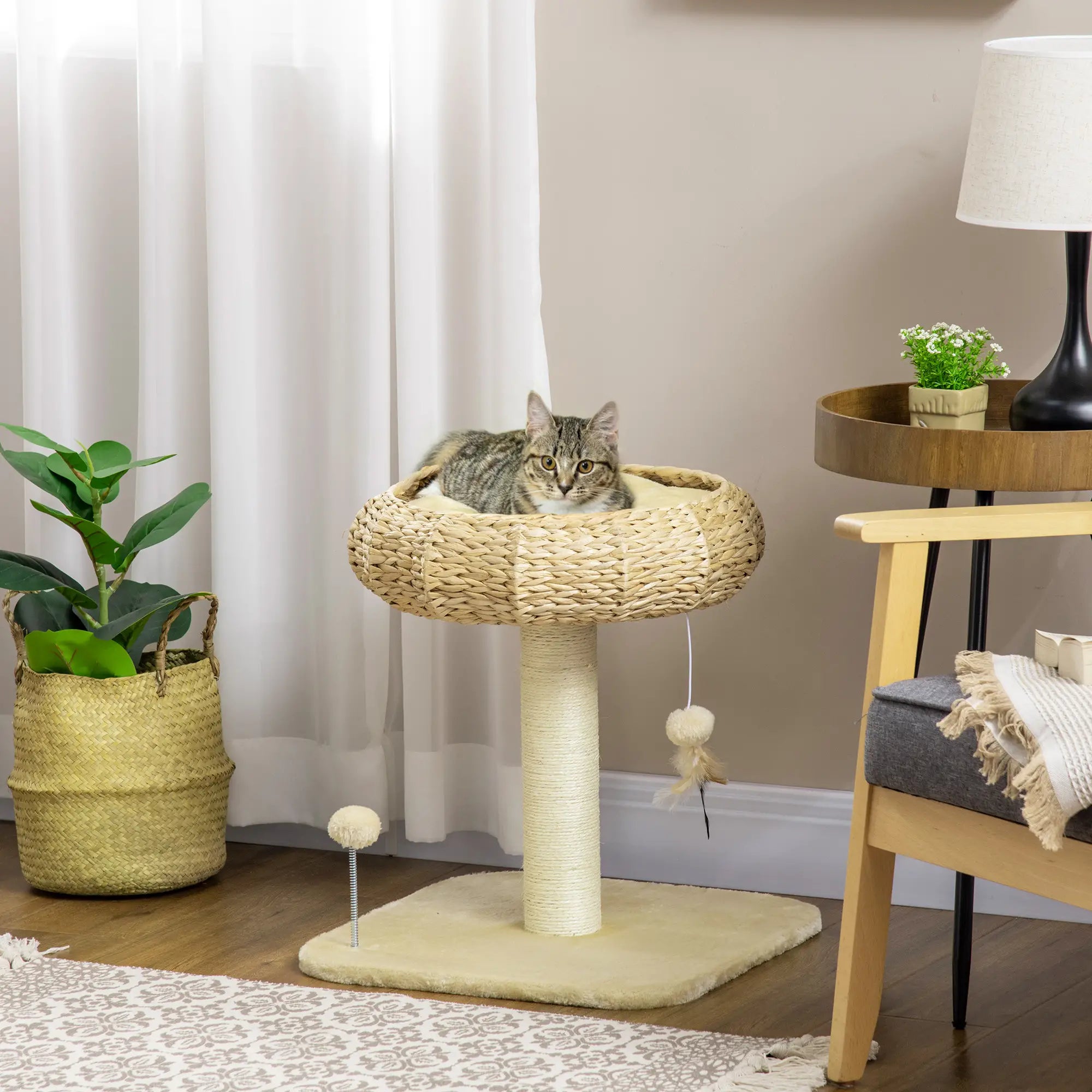 51cm Cat Tree Kitten Tower, with Sisal Scratching Post, Top Bed, Toy Ball