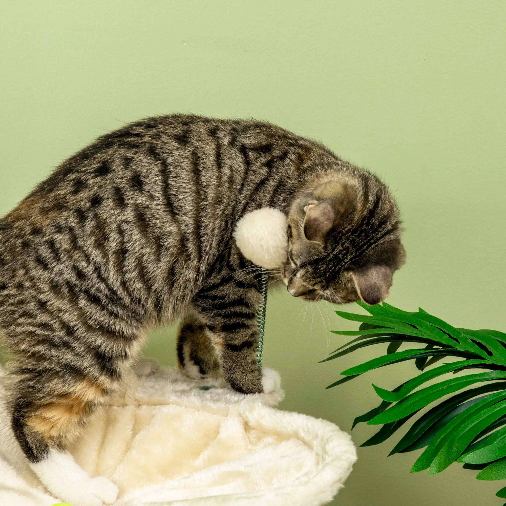 Cat Tree, with Scratching Posts, Hammock, Toy Ball - Beige