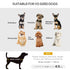 Dog Sofa for XS and S Size Dogs, Pet Chair Bed with Soft Cushion, Cat Sofa Couch with Washable Cover, Wooden Frame, 66.5 x 45 x 35.5 cm, Grey