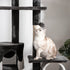 Floor-to-Ceiling Cat Tree for Indoor Cats, 240-260cm Adjustable Cat Tree - White Bargain Clearance Centre