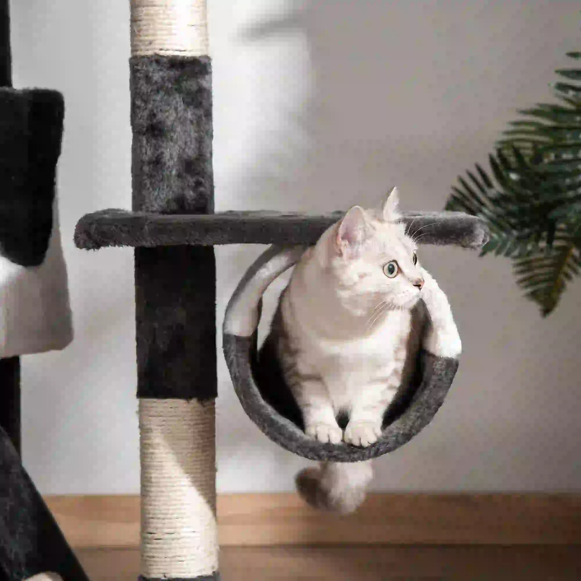 Floor-to-Ceiling Cat Tree for Indoor Cats, 240-260cm Adjustable Cat Tree - White Bargain Clearance Centre