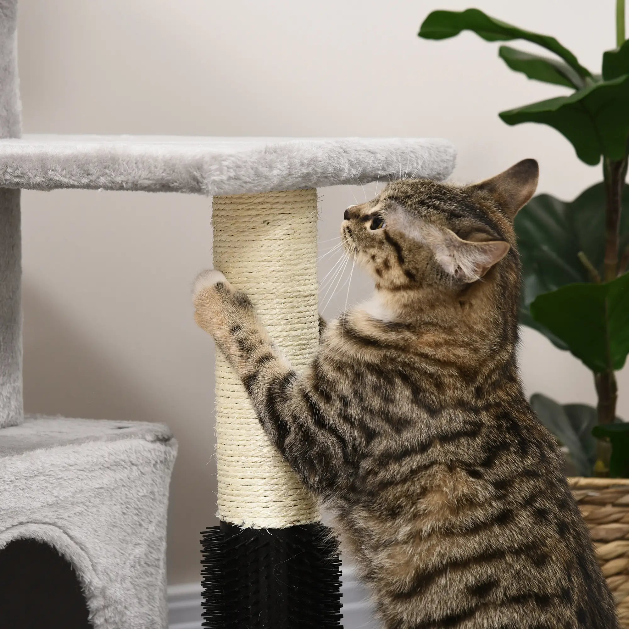Cat Tree for Indoor Cats Climbing Tower Kitten Scratch Post Activity Center Kitten with Massage Toy Hanging Ball Bed Condo Perch 48 x 48 x 85cm Grey