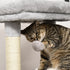 Cat Tree for Indoor Cats Climbing Tower Kitten Scratch Post Activity Center Kitten with Massage Toy Hanging Ball Bed Condo Perch 48 x 48 x 85cm Grey