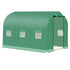 Polytunnel Greenhouse with Windows and Door, Walk in Greenhouse for Garden, Backyard (3 x 2 M)