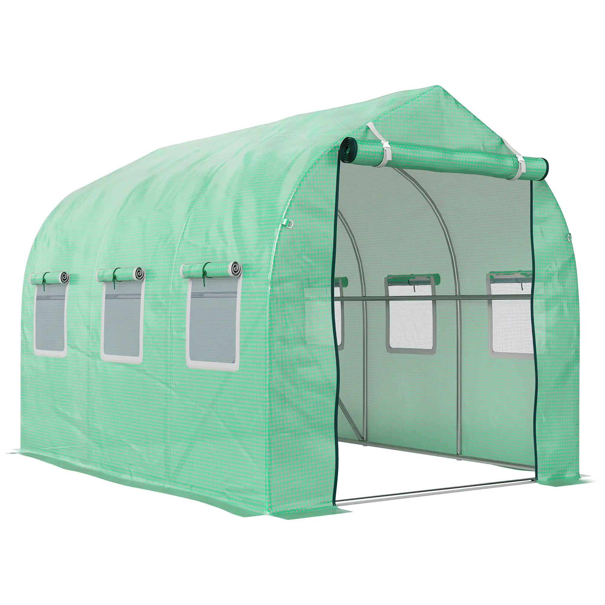 Polytunnel Greenhouse with Windows and Door, Walk in Greenhouse for Garden, Backyard (3 x 2 M)