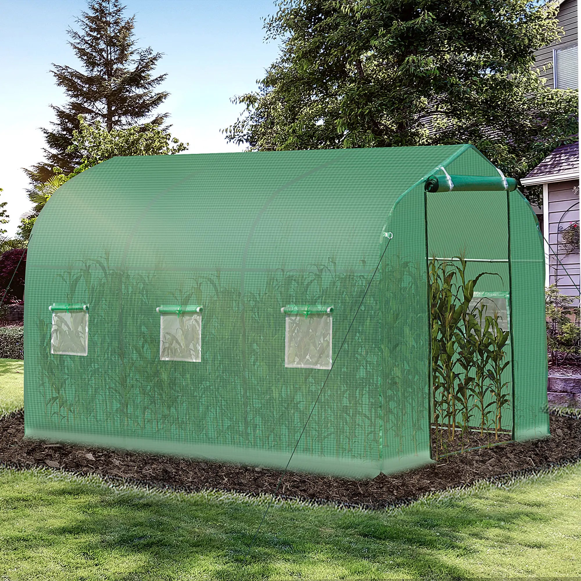 Polytunnel Greenhouse with Windows and Door, Walk in Greenhouse for Garden, Backyard (3 x 2 M)