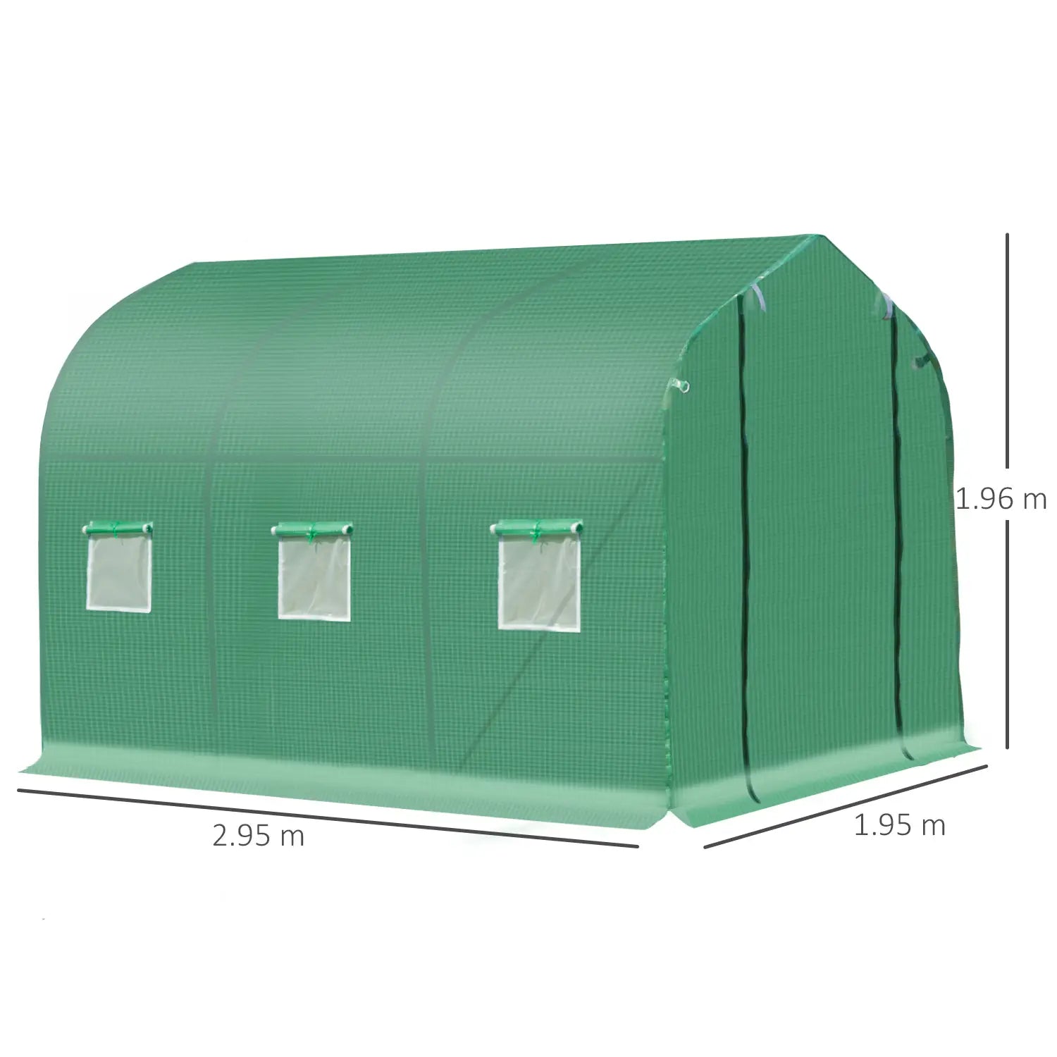 Polytunnel Greenhouse with Windows and Door, Walk in Greenhouse for Garden, Backyard (3 x 2 M)