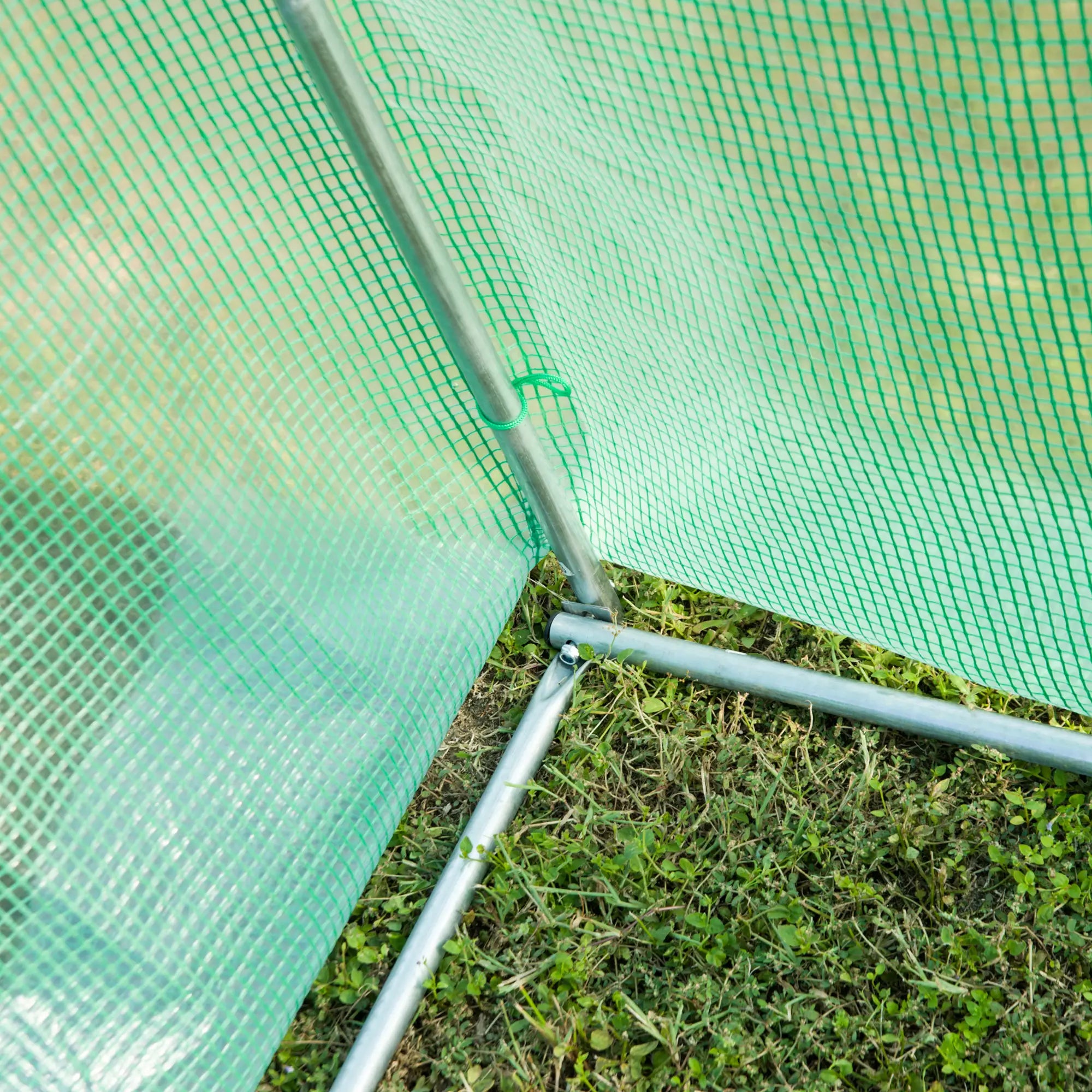 Polytunnel Greenhouse with Windows and Door, Walk in Greenhouse for Garden, Backyard (3 x 2 M)