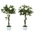 Set of Two Faux Rose Trees - White Bargain Clearance Centre