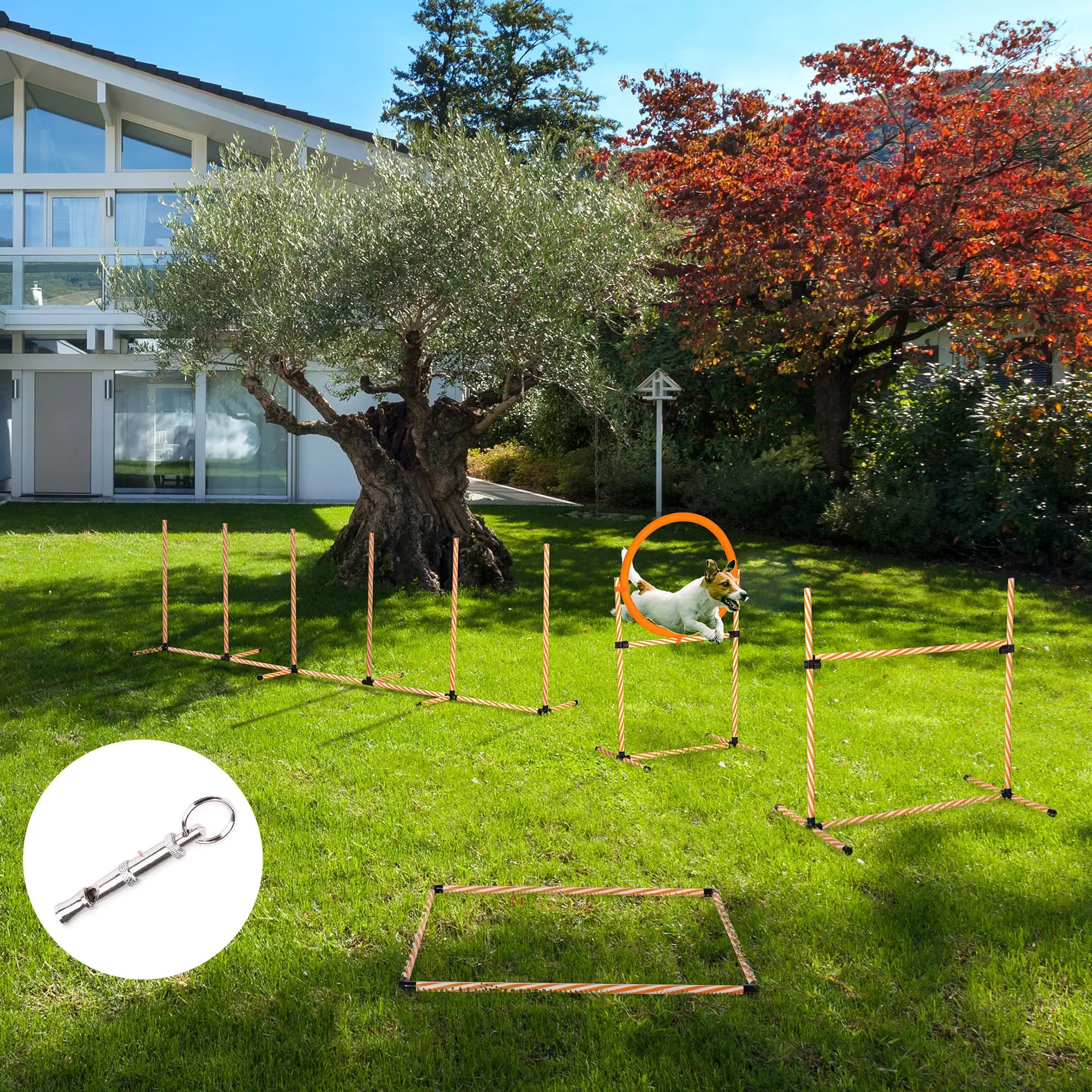 Dog Agility Equipment Pet Training Set with Adjustable Height Jump Ring Hurdle Whistle Weave Poles Square Pause Box Carry Bag