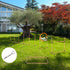 Dog Agility Equipment Pet Training Set with Adjustable Height Jump Ring Hurdle Whistle Weave Poles Square Pause Box Carry Bag