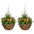Set of Two Hanging Lisianthus Flower Pots - Orange/Green Bargain Clearance Centre