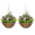 Set of Two Hanging Lisianthus Flower Pots - Pink/Green Bargain Clearance Centre
