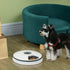 Automatic Pet Dog Cat Feeder w/ Digital Timer Six-Meal Food Dispenser