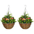 Set of Two Hanging Lisianthus Flower Pots - Orange/Green Bargain Clearance Centre