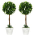Set of 2 Decorative Artificial Plants Ball Trees with Flower for Home Indoor Outdoor Decor, 60cm ,White Bargain Clearance Centre