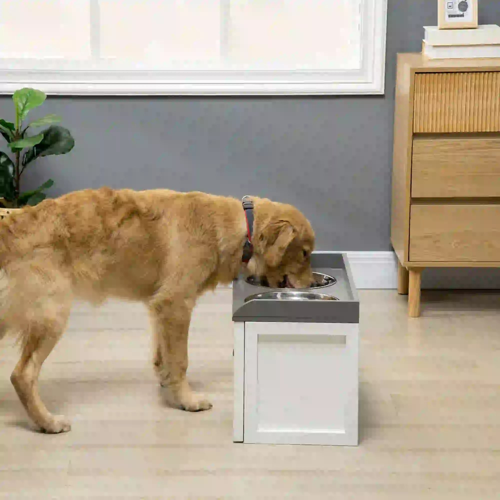 Stainless Steel Raised Dog Bowls, with 21L Storage Drawer for Large Dogs and Cats - White