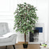160cm/5.2FT Artificial Ficus Silk Tree with Nursery Pot, Decorative Fake Plant, for Indoor Outdoor Décor Bargain Clearance Centre
