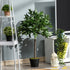Artificial Bay Laurel Topiary Trees w/ Pot Fake, Set Of 2 90cm/3FT Indoor Outdoor Greenery Plant Home Office Garden Decor Green Bargain Clearance Centre