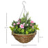 Set of Two Hanging Lisianthus Flower Pots - Pink/Green Bargain Clearance Centre