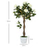 Set of Two Faux Rose Trees - White Bargain Clearance Centre