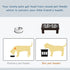 Raised Dog Feeding Bowls with Stand, Stainless Steel for Medium Dog, 58L x 31W x 25H cm - Brown