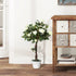 Artificial Plants White Rose Floral in Pot, Fake Plants for Home Indoor Outdoor Decor, 90cm Bargain Clearance Centre