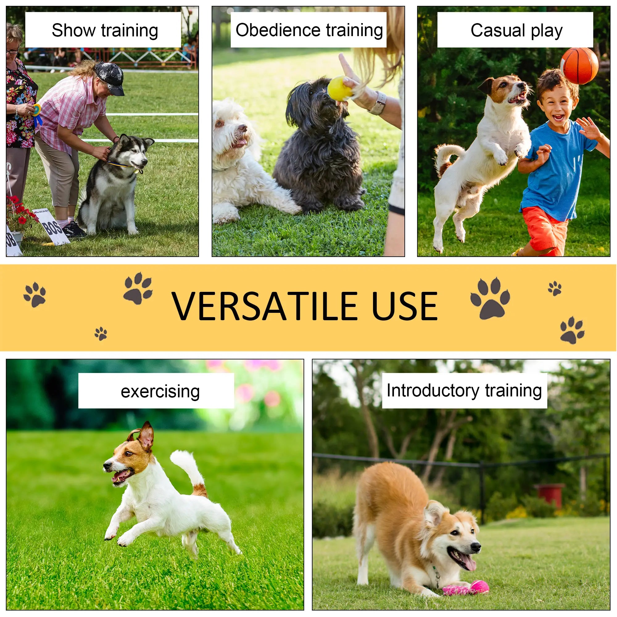 Pet Agility Training Equipment Dog Play Run Obedience Training Set Adjustable (Poles)