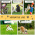 Pet Agility Training Equipment Dog Play Run Obedience Training Set Adjustable (Poles)