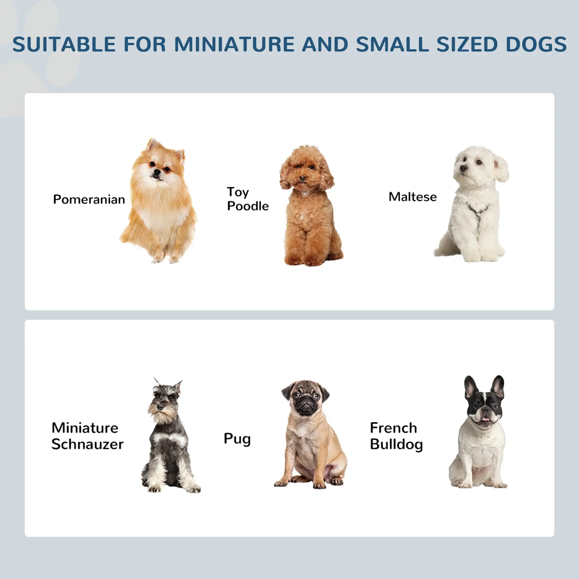 Raised Dog Feeding Bowls with Stand, Stainless Steel for Extra Small and Small Dog, 44L x 24W x 15H cm - White
