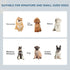 Raised Dog Feeding Bowls with Stand, Stainless Steel for Extra Small and Small Dog, 44L x 24W x 15H cm - White