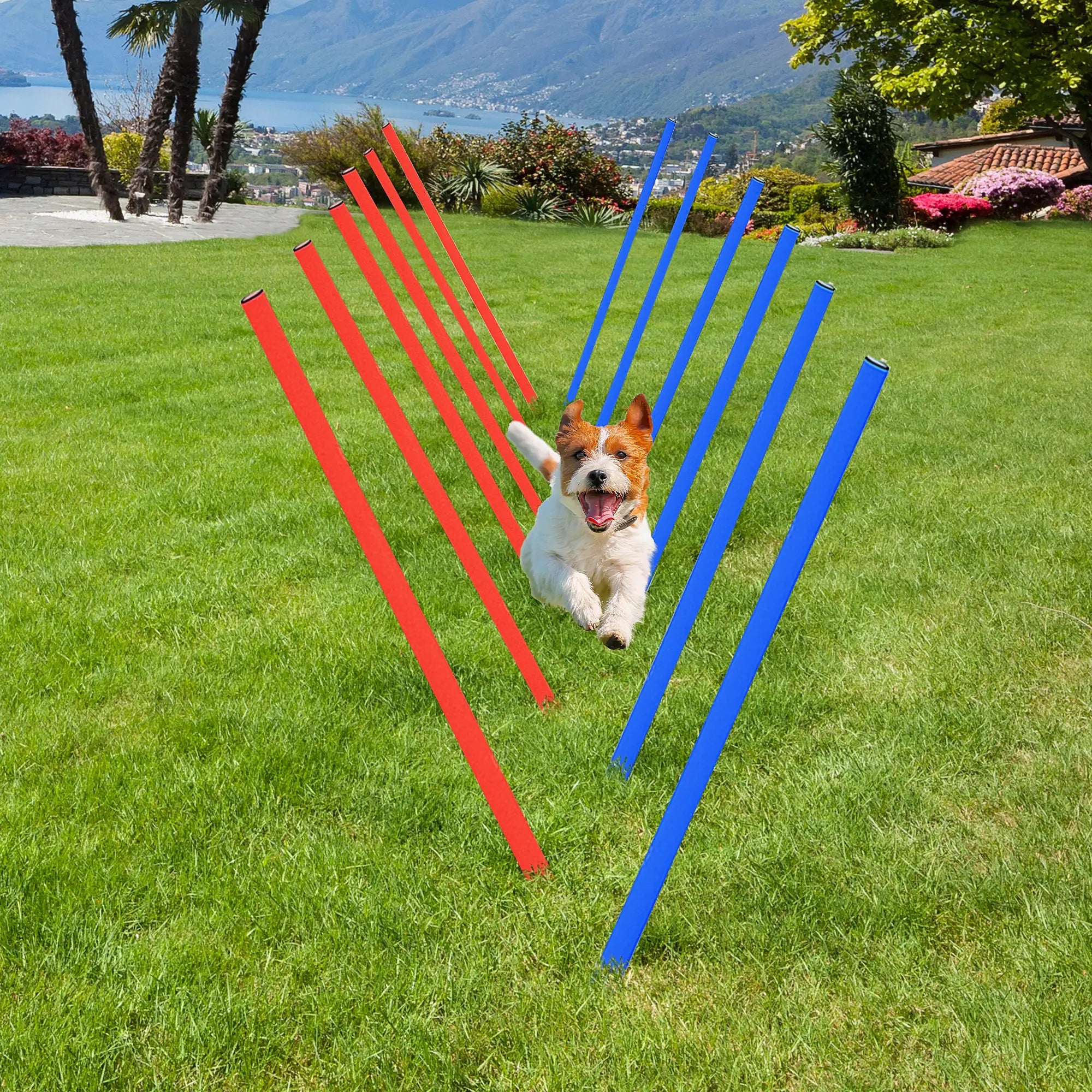 Pet Agility Training Equipment Dog Play Run Obedience Training Set Adjustable (Poles)