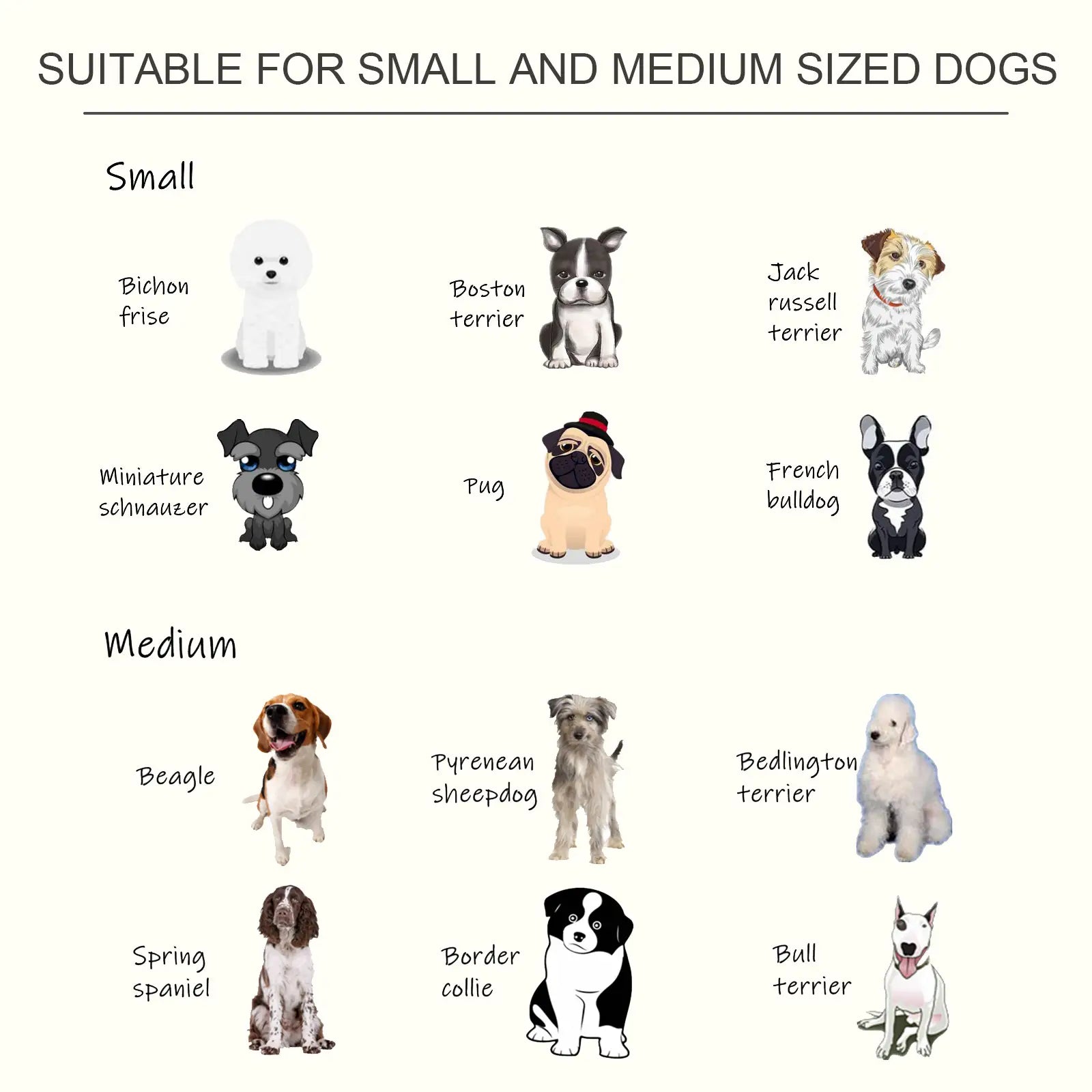 Raised Dog Feeding Bowls with Stand, Stainless Steel for Medium Dog, 58L x 31W x 25H cm - White