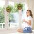 Set of Two Hanging Lisianthus Flower Pots - Orange/Green Bargain Clearance Centre