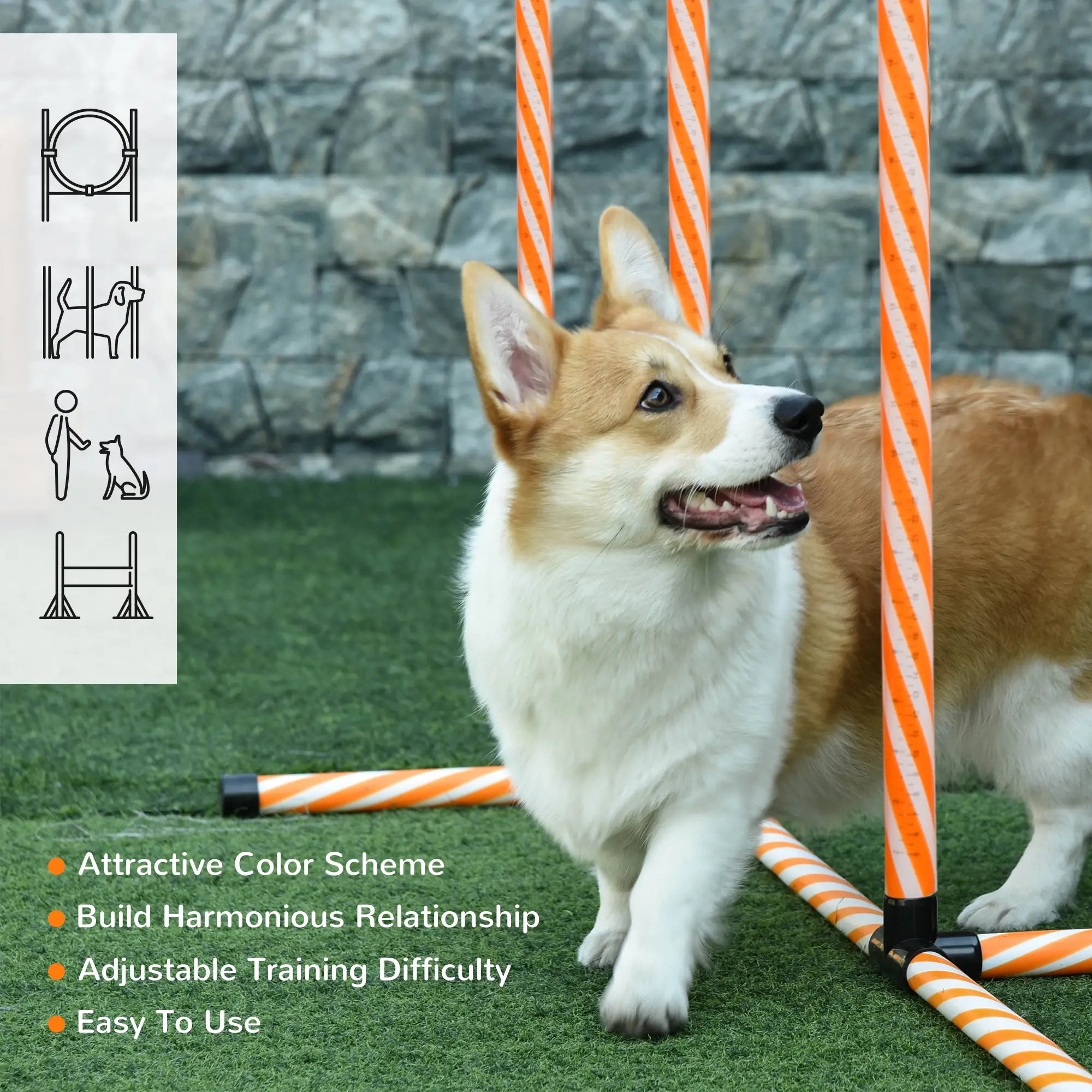 Dog Agility Equipment Pet Training Set with Adjustable Height Jump Ring Hurdle Whistle Weave Poles Square Pause Box Carry Bag