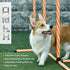 Dog Agility Equipment Pet Training Set with Adjustable Height Jump Ring Hurdle Whistle Weave Poles Square Pause Box Carry Bag