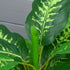 Artificial Evergreen Tree Fake Decorative Plant in Nursery Pot for Indoor Outdoor Decor, 95cm Bargain Clearance Centre