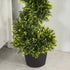 90cm/3FT Artificial Trees, Spiral Topiary Trees w/ Pot Set Of 2, Fake Indoor Outdoor Greenery Plant Home Office Garden Decor Green Bargain Clearance Centre