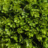 Decorative Artificial Trees Boxwood Ball Topiary Trees in Pot Fake Plants for Home Indoor Outdoor Decor, 90 cm Bargain Clearance Centre